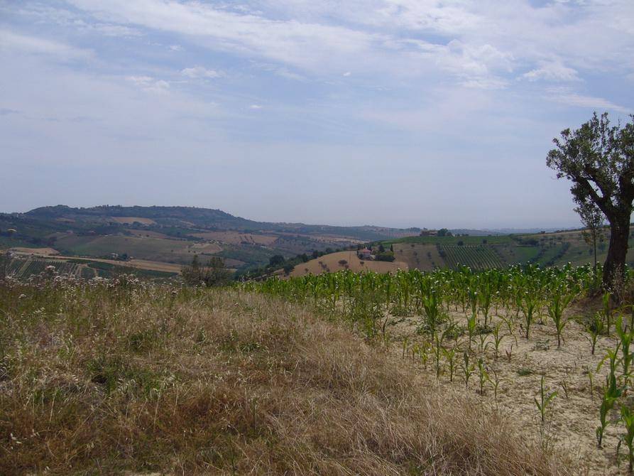 Rustico / casale a Controguerra in Contrada Pignotto - Foto 4
