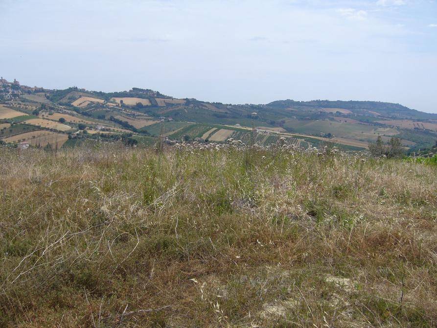 Rustico / casale a Controguerra in Contrada Pignotto - Foto 5