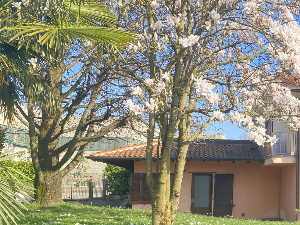 Appartamento a Costa masnaga - Foto 2
