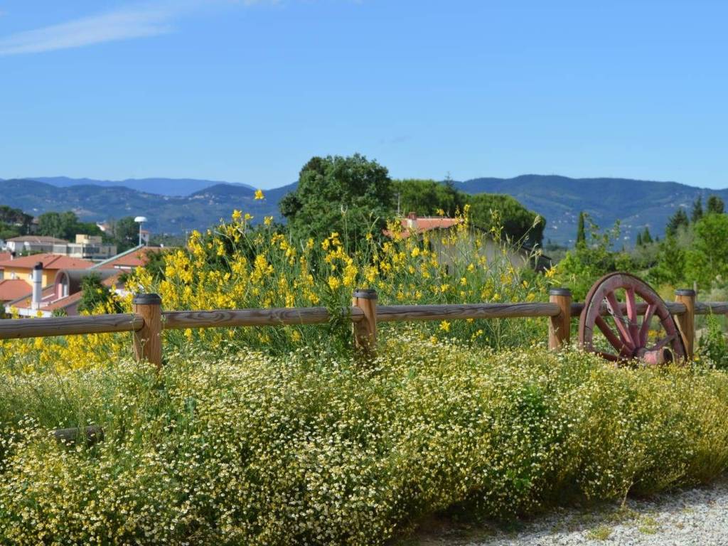 Immobile a Cerreto guidi - Foto 4