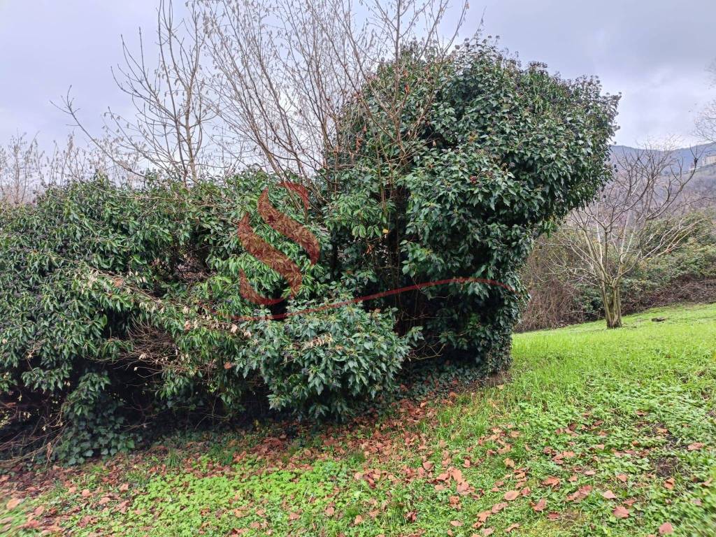 Terreno a Pradalunga in Via San Vincenzo - Foto 3