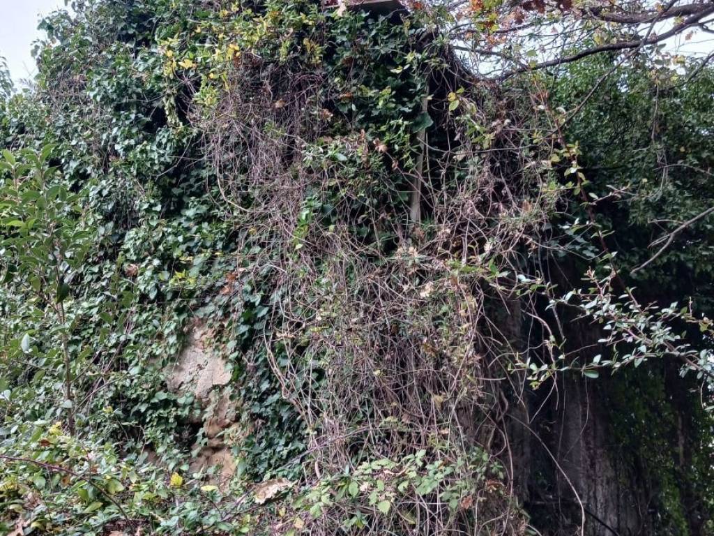 Villa a Arcola - Foto 2