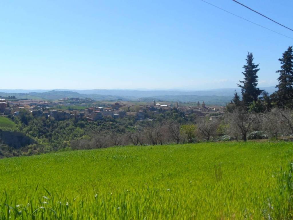 Terreno a Offida in Contrada Lava - Foto 2