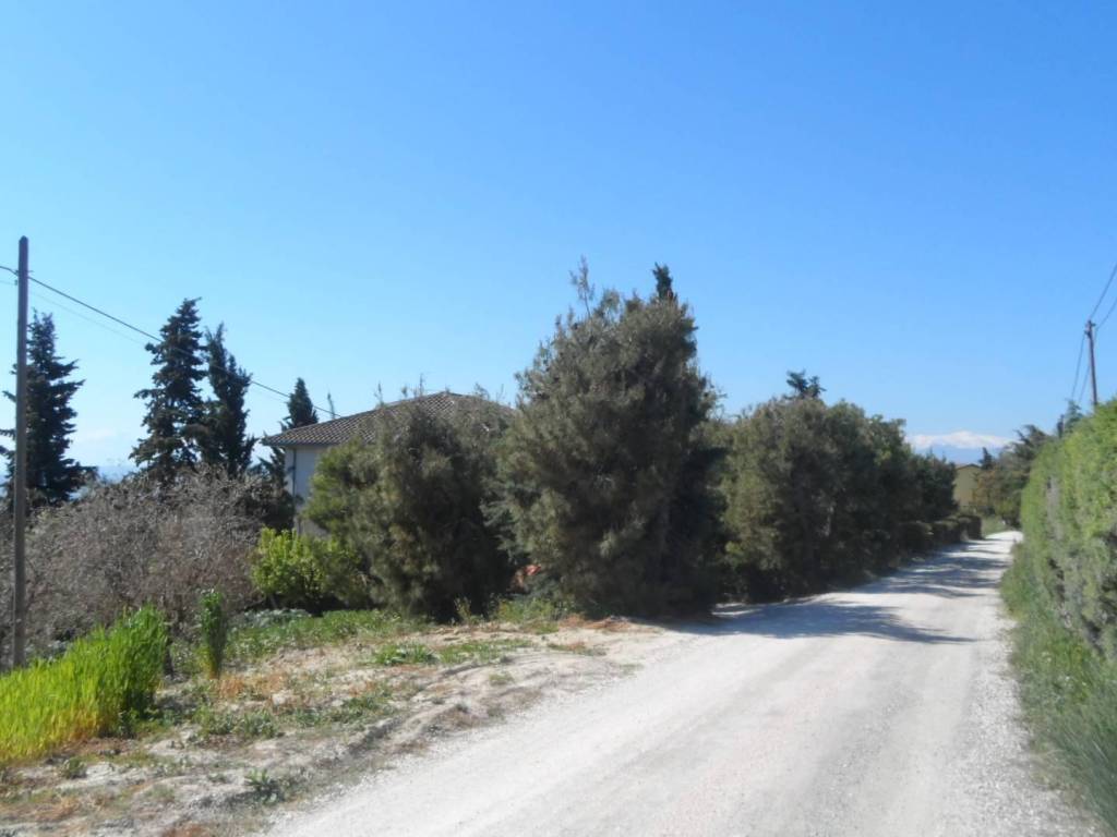Terreno a Offida in Contrada Lava - Foto 3