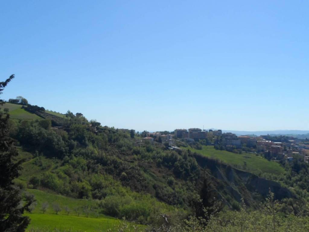 Terreno a Offida in Contrada Lava - Foto 4