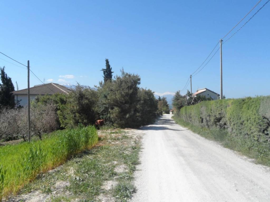 Terreno a Offida in Contrada Lava - Foto 5