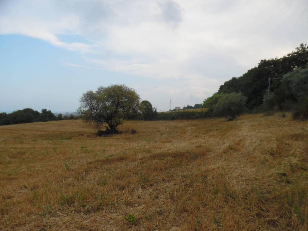 Terreno a San benedetto del tronto in Via dei Lauri - Foto 3