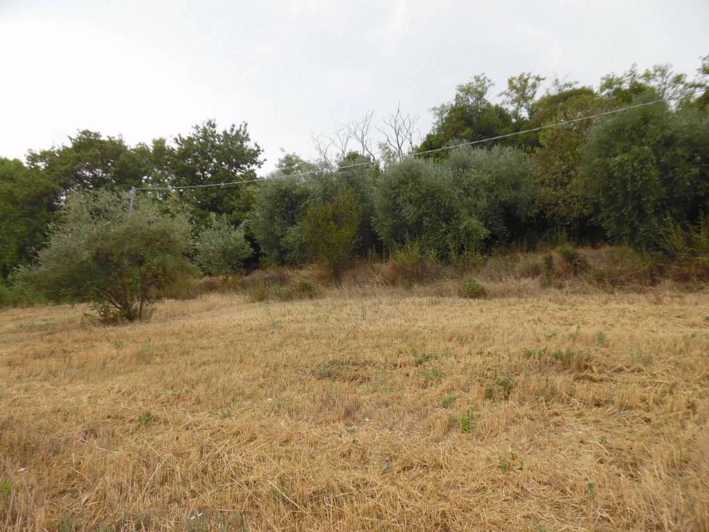 Terreno a San benedetto del tronto in Via dei Lauri - Foto 4