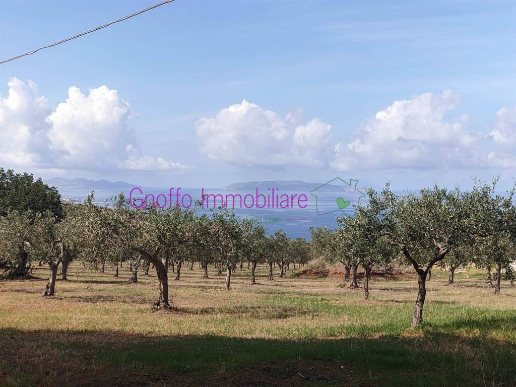 Terreno a Erice in Contrada Piano Guastella - Foto 2
