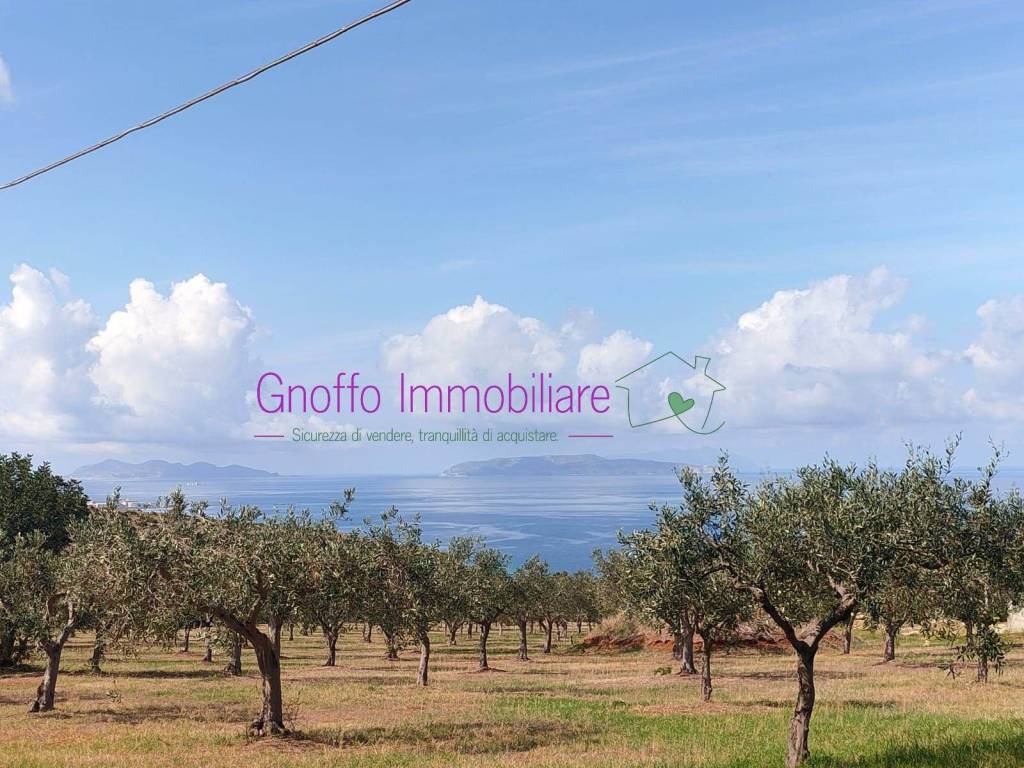 Terreno a Erice in Contrada Piano Guastella - Foto 4