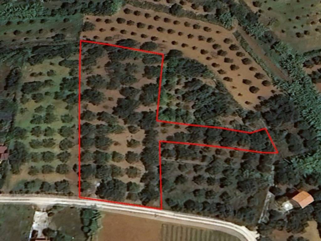 Terreno a Partinico in Contrada Margi Sottano - Foto 2
