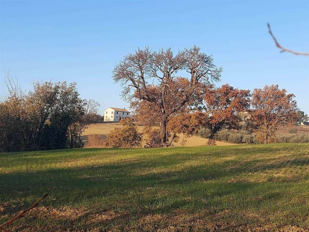 Rustico / casale a Corinaldo in VIA SAN BARTOLO , 6 - Foto 3