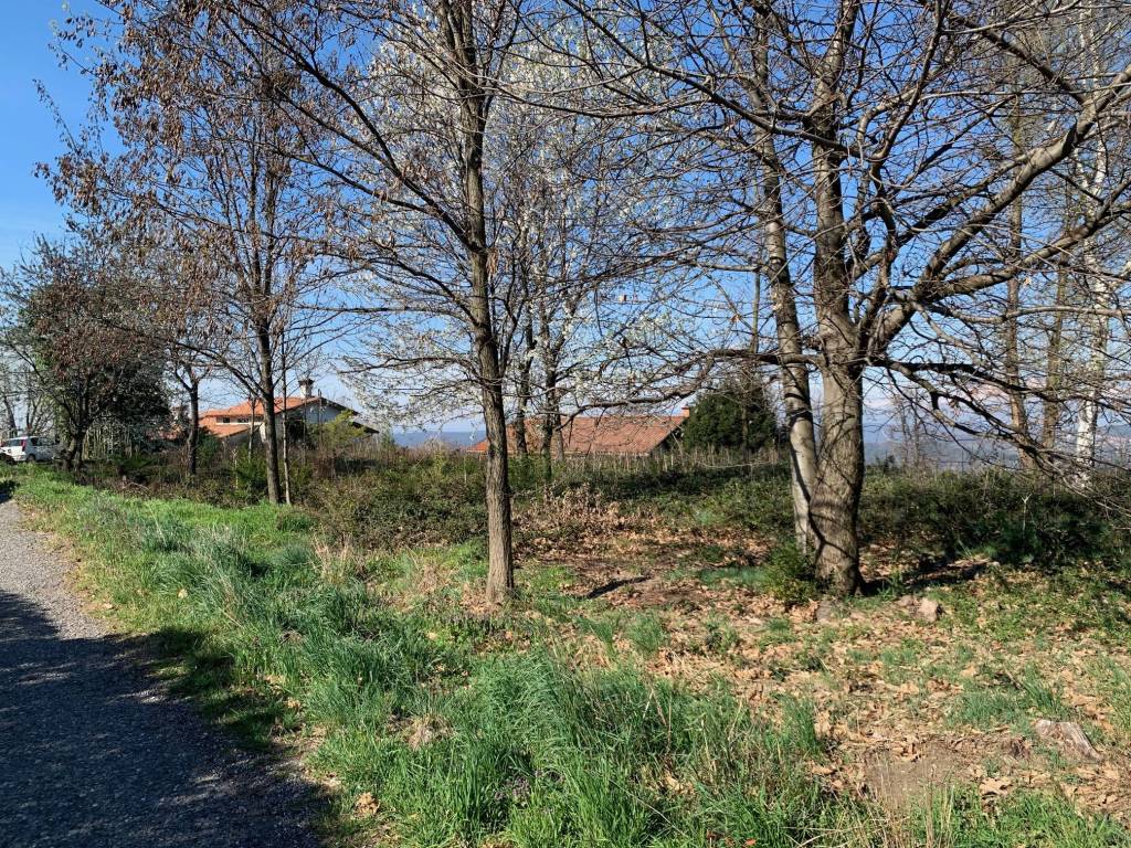Terreno a Sumirago - Foto 3