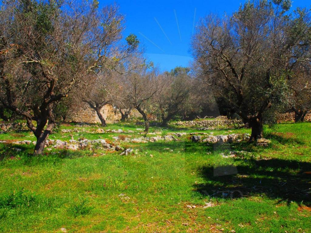 Terreno a Castrignano del capo in Via Masseria Li Turchi - Foto 2