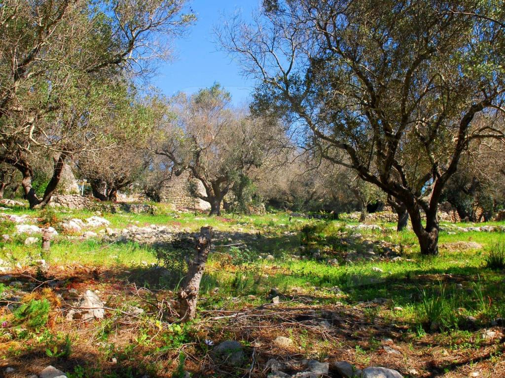 Terreno a Castrignano del capo in Via Masseria Li Turchi - Foto 3