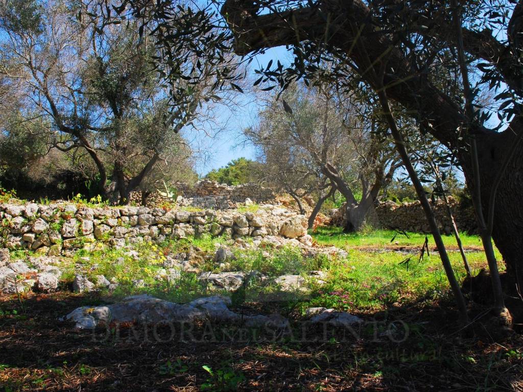 Terreno a Castrignano del capo in Via Masseria Li Turchi - Foto 4