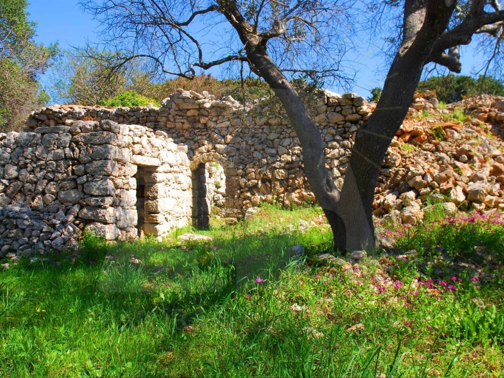 Terreno a Castrignano del capo in Via Masseria Li Turchi - Foto 5