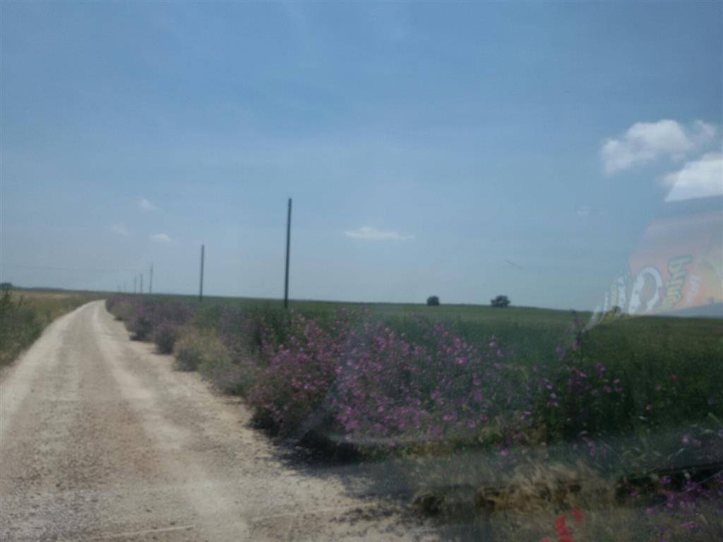 Terreno a Lucera - Foto 2