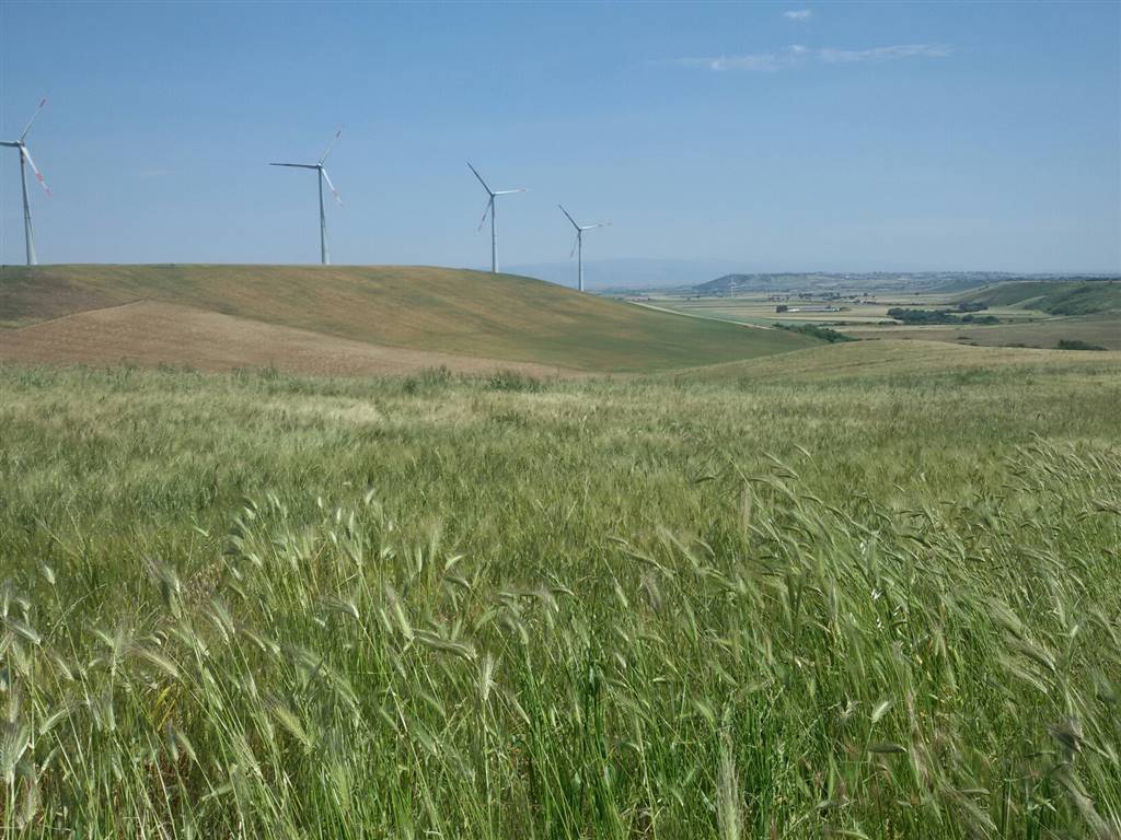 Terreno a Lucera - Foto 2