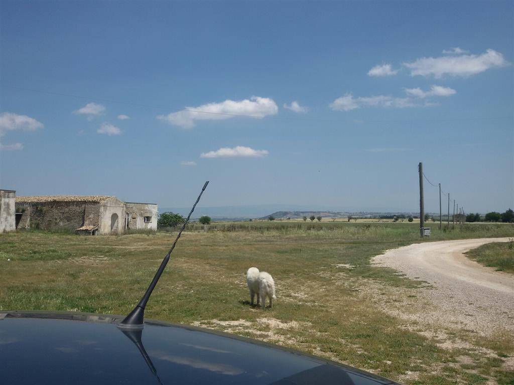 Terreno a Lucera - Foto 3