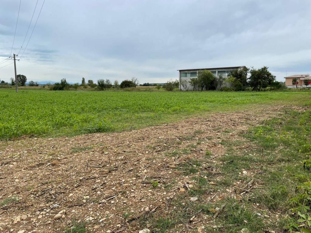Terreno a Montichiari in Via Sacca - Foto 3