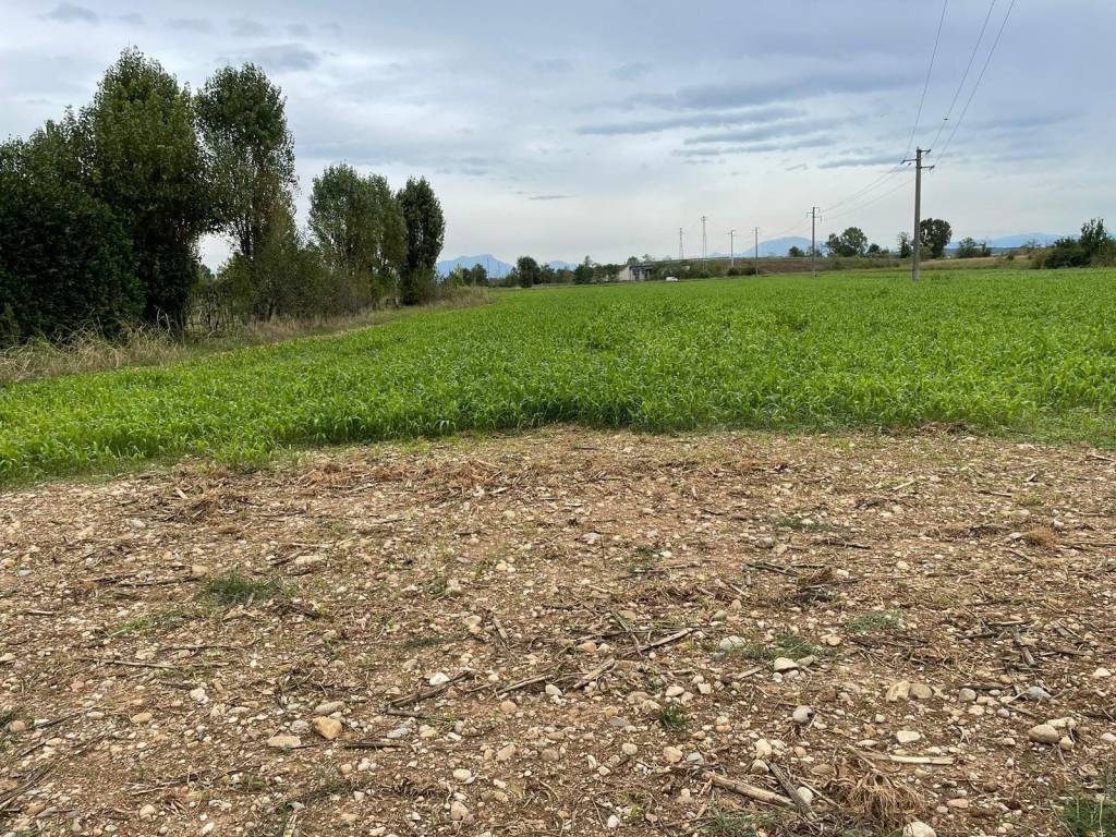 Terreno a Montichiari in Via Sacca - Foto 5