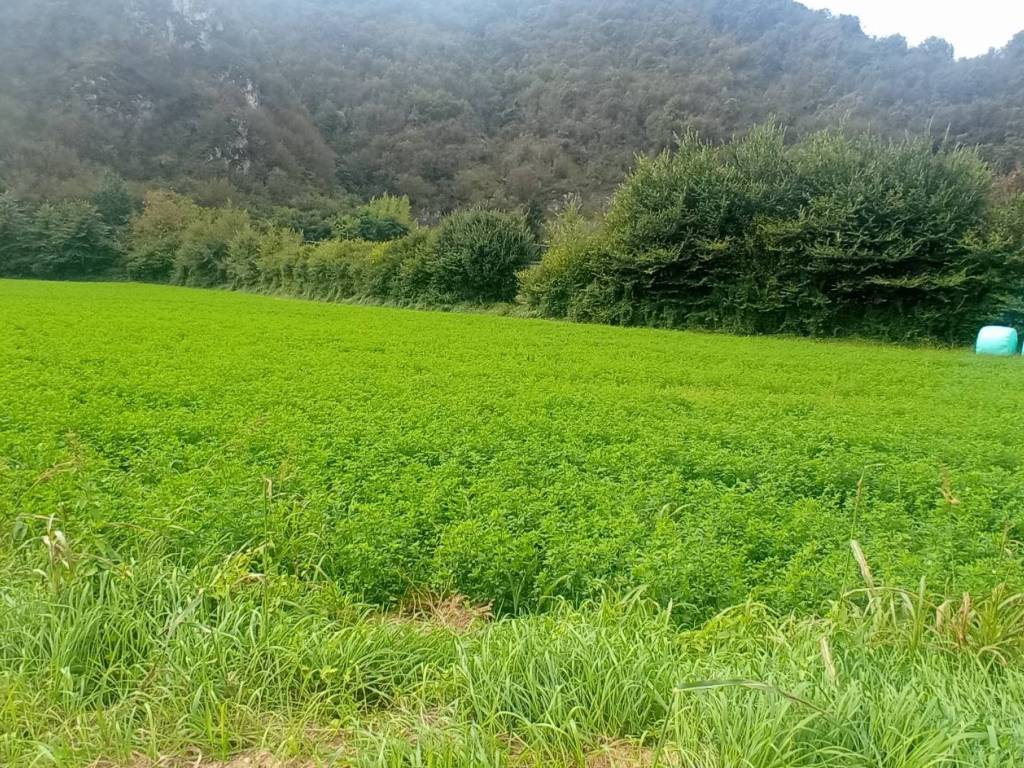 Terreno a Sabbio chiese in Via Stretta, 1 - Foto 2