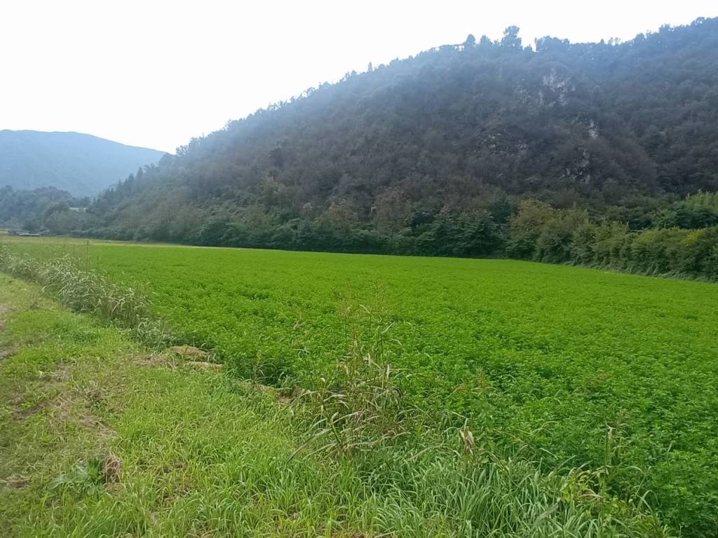 Terreno a Sabbio chiese in Via Stretta, 1 - Foto 3