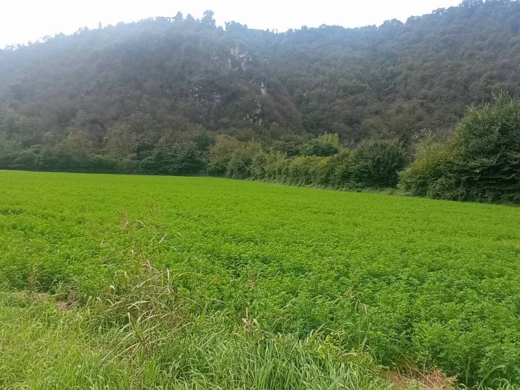 Terreno a Sabbio chiese in Via Stretta, 1 - Foto 5