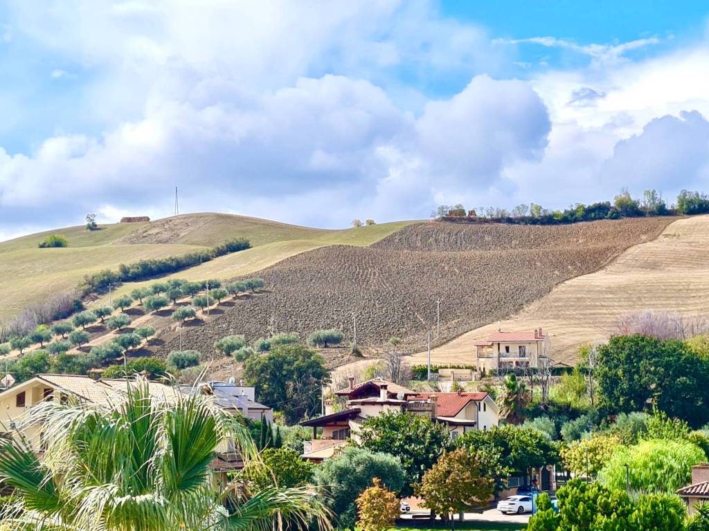 Appartamento a Pineto - Foto 3