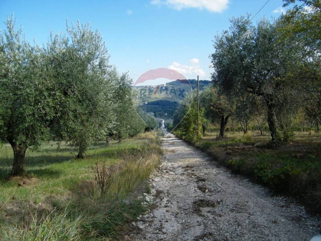 Rustico / casale a Bucchianico - Foto 2