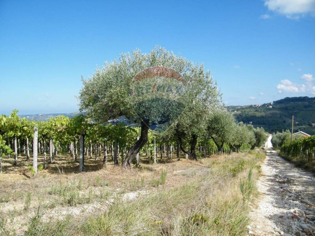 Rustico / casale a Bucchianico - Foto 3