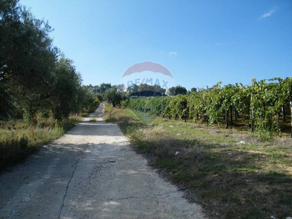 Rustico / casale a Bucchianico - Foto 4