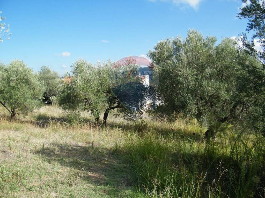 Rustico / casale a Bucchianico - Foto 5