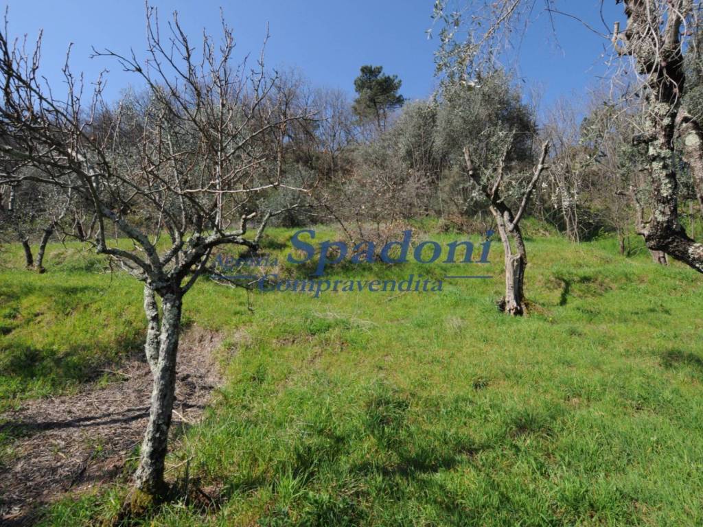 Rustico / casale a Montecatini-terme in Strada Provinciale Mammianese Marlianese, 11 - Foto 5