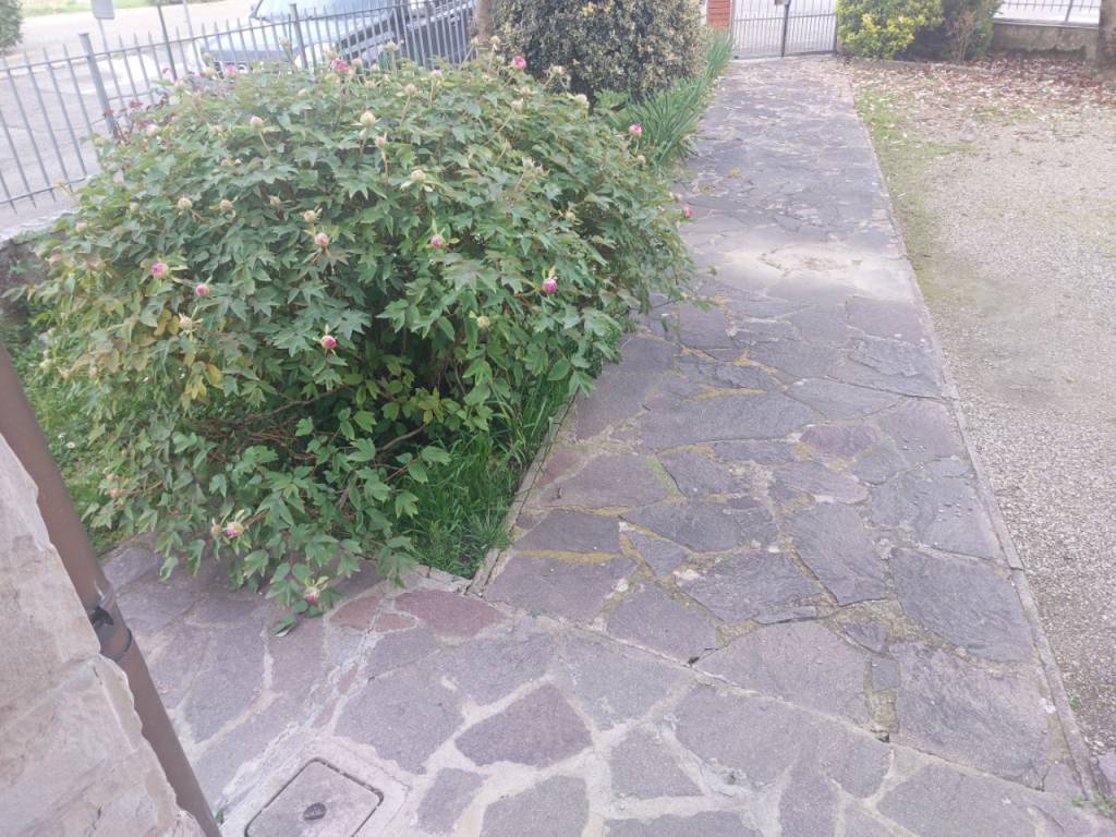 Appartamento a Castelfranco piandisco in Via Roma - Foto 3