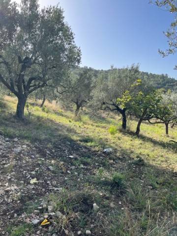 Terreno a Giungano - Foto 2