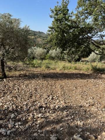 Terreno a Giungano - Foto 3