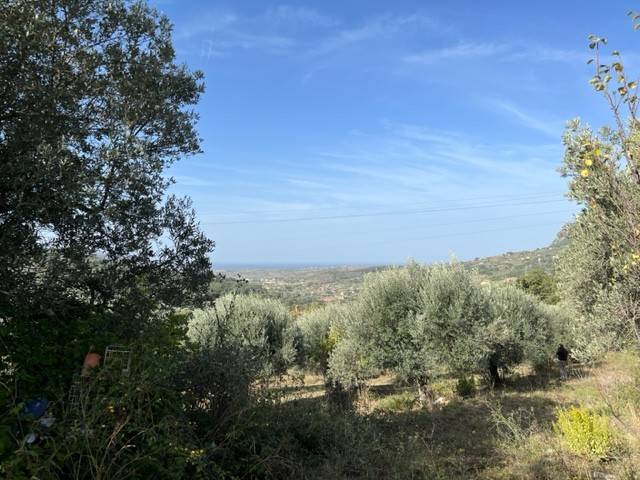 Terreno a Giungano in Via Cerza Nera - Foto 3
