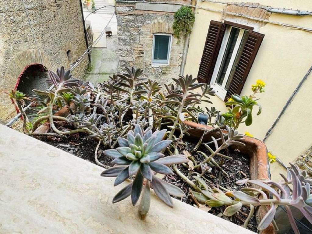 Appartamento a Torricella in sabina in Via Pescheria - Foto 4