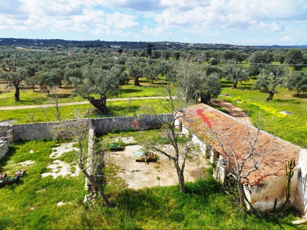 Rustico / casale a Carovigno - Foto 5