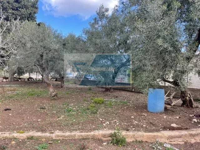 Terreno a Melilli in Viale Edoardo Garrone - Foto 5