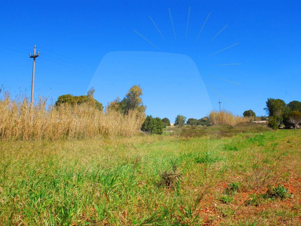 Terreno a Specchia in Contrada Magnone - Foto 4