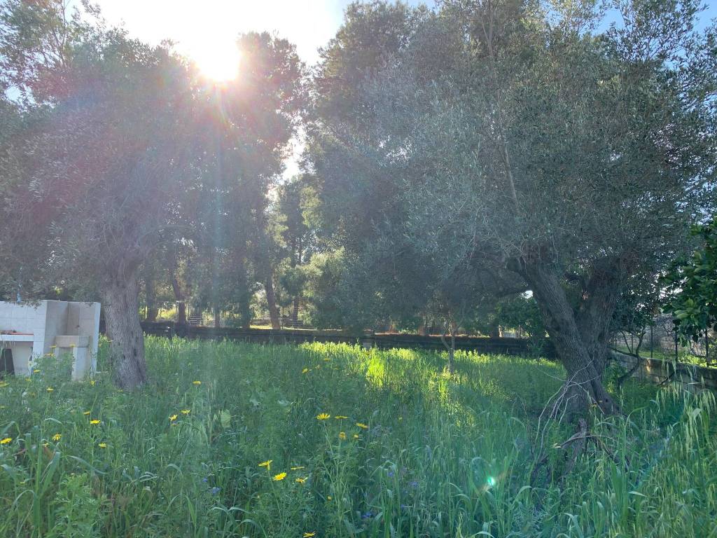 Villa a Noto in SP59 - Foto 4