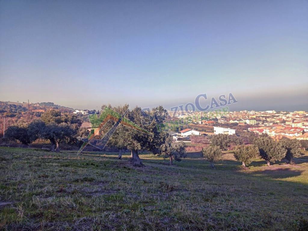 Terreno a Tortoreto in Via I. Graziani - Foto 3