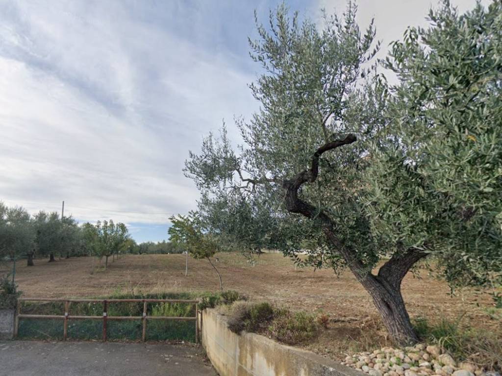 Terreno a Torrevecchia teatina in Via Castelferrato, 12 - Foto 2