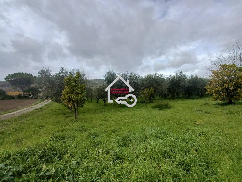 Terreno a Albanella in Via Cerrina, 93 - Foto 4
