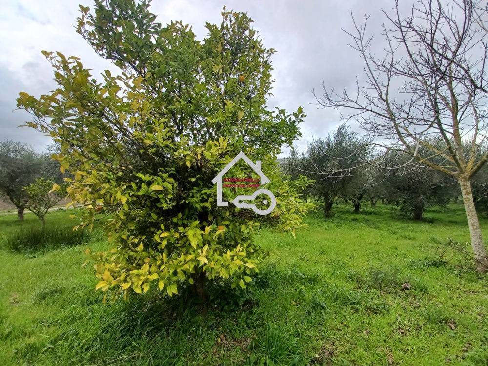 Terreno a Albanella in Via Cerrina, 93 - Foto 5