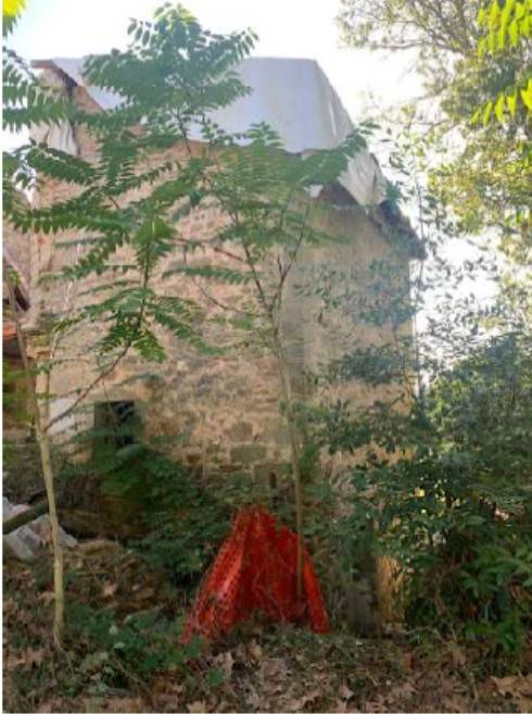 Villa a Poppi in Località Filetto - Foto 5