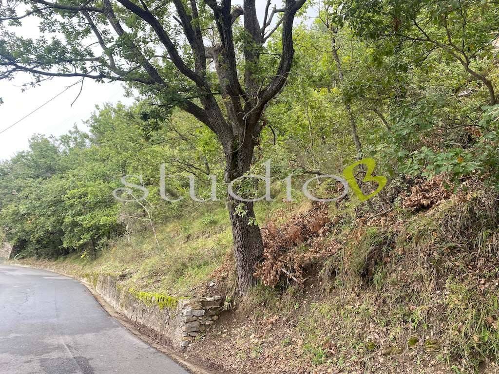 Terreno a Seborga in Strada Provinciale, snc - Foto 4